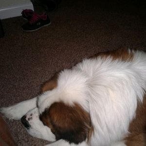 Meet your Posher, April